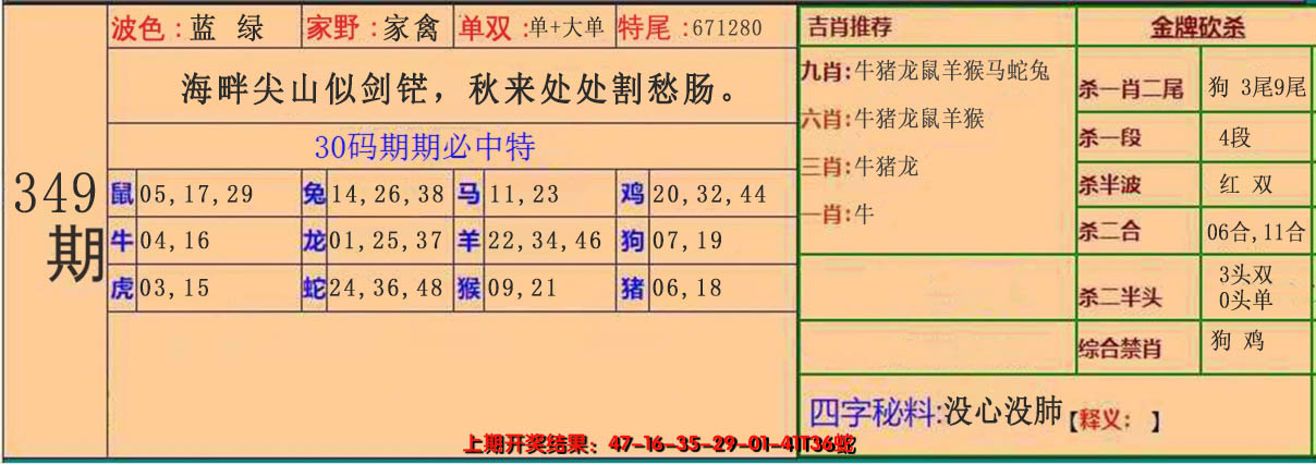 2024349期30码中特