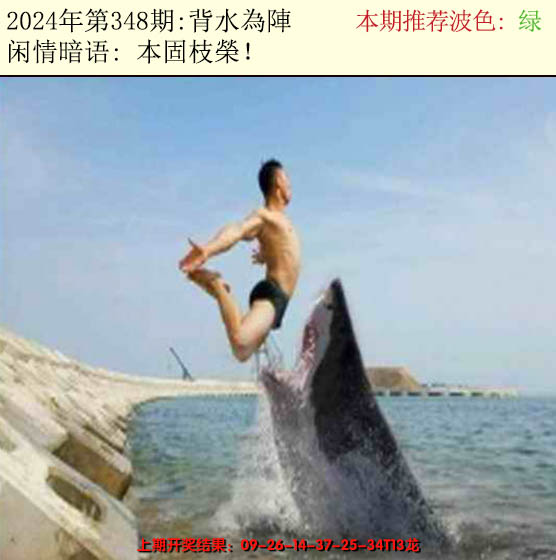 2024348期今日闲情2