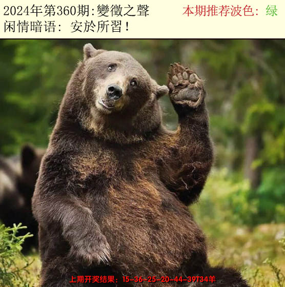 2024360期今日闲情2