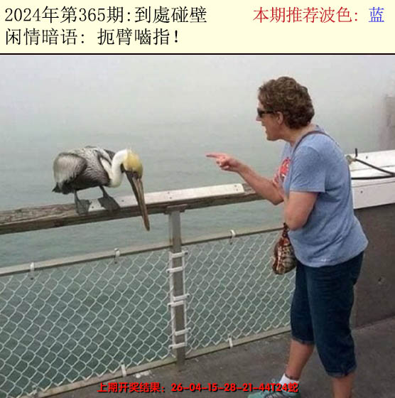 2024365期今日闲情2