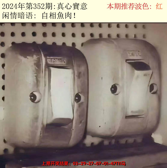 2024352期今日闲情2