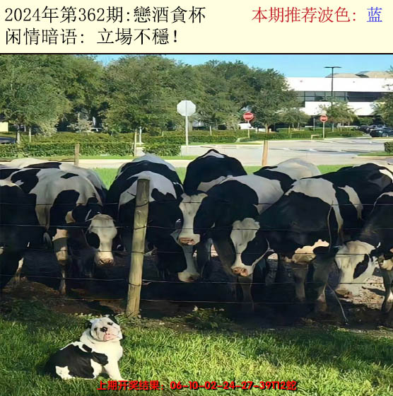 2024362期今日闲情2
