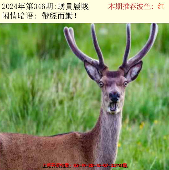 2024346期今日闲情2