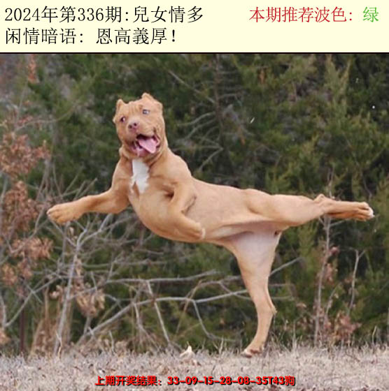 2024336期今日闲情2