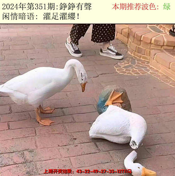 2024351期今日闲情2