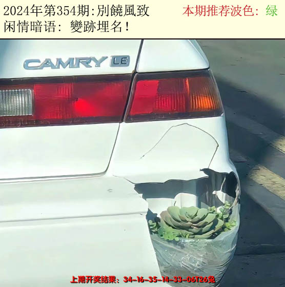 2024354期今日闲情2