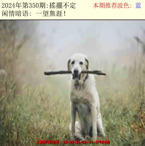 2024350期今日闲情2