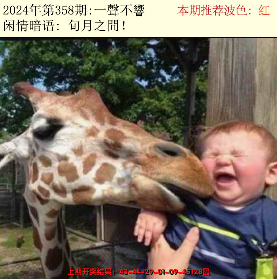 2024358期今日闲情2