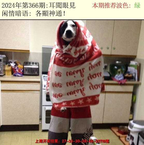 2024366期今日闲情2