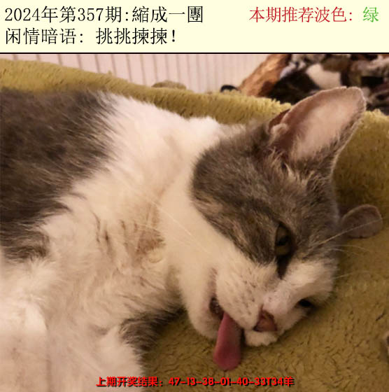 2024357期今日闲情2