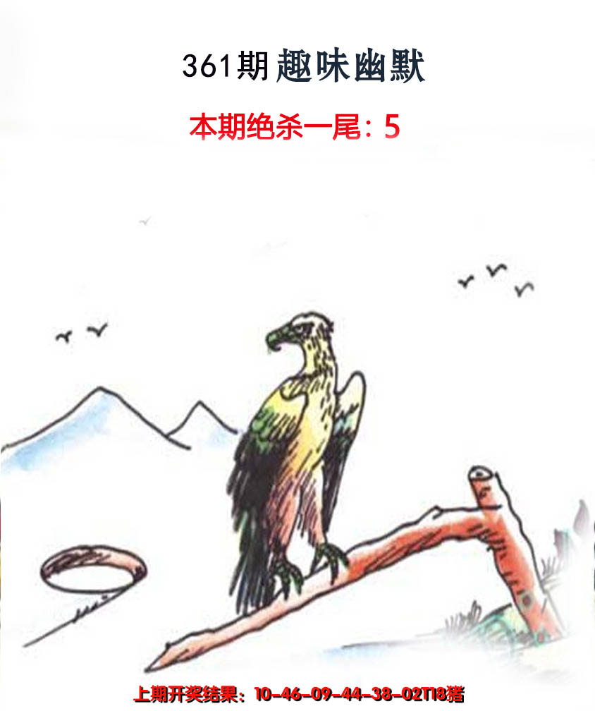 2024361期趣味幽默