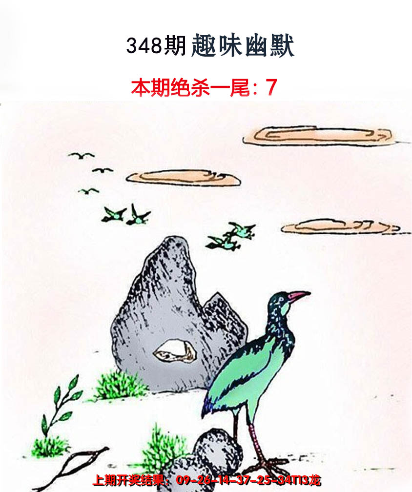 2024348期趣味幽默