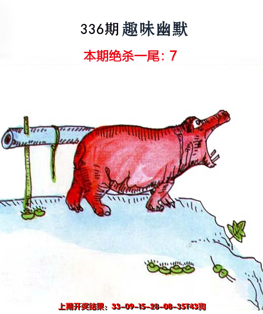 2024336期趣味幽默