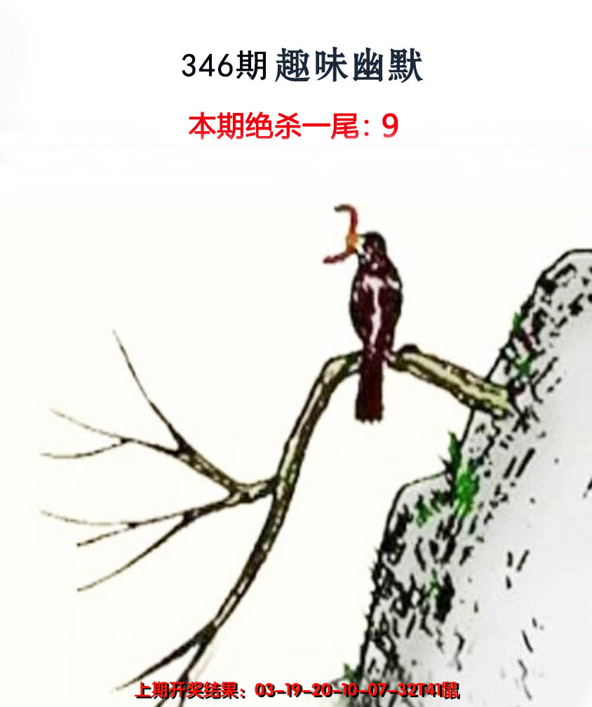 2024346期趣味幽默