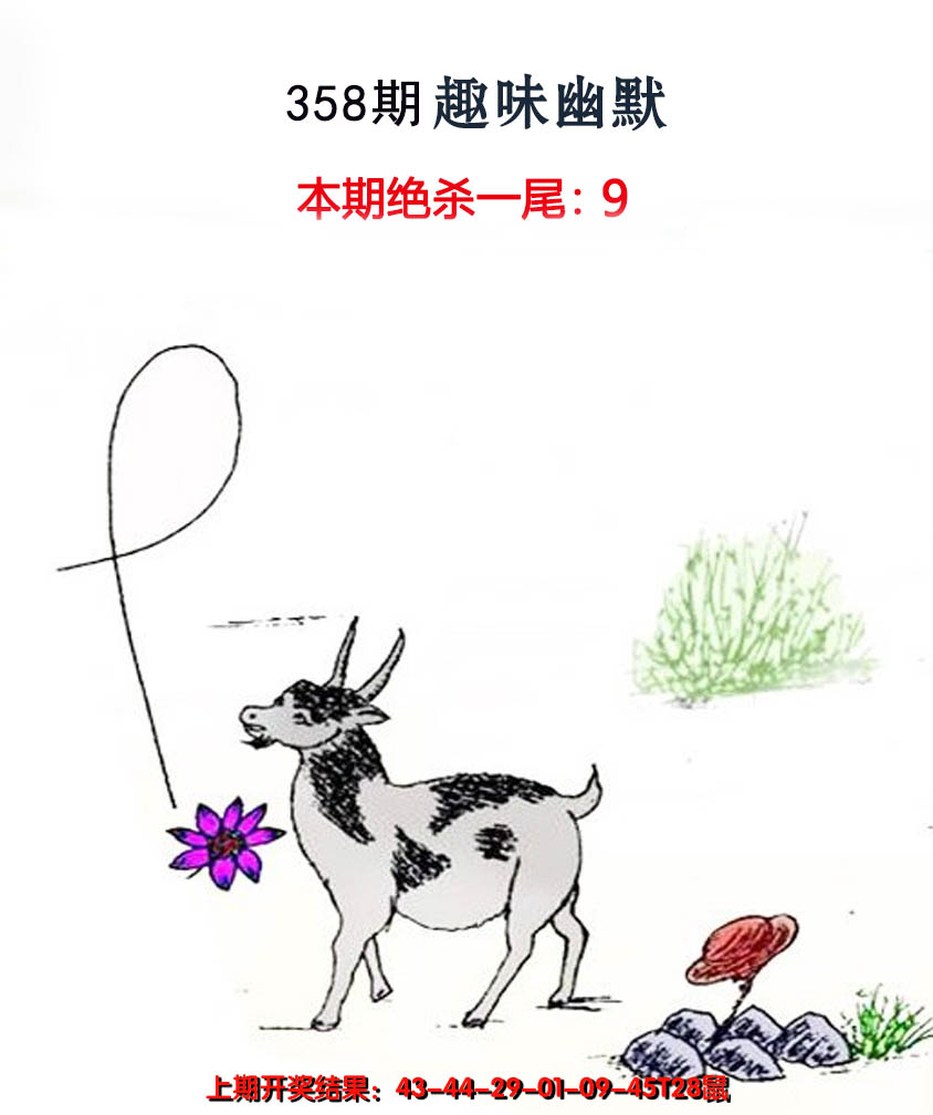 2024358期趣味幽默