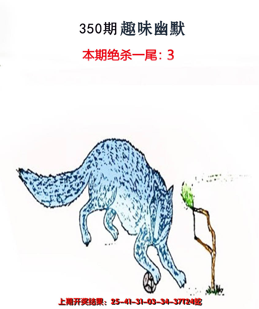 2024350期趣味幽默