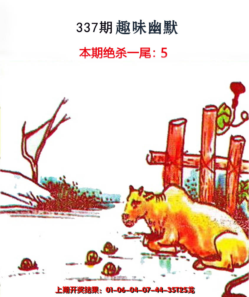 2024337期趣味幽默