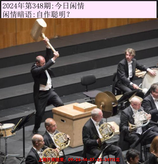 2024348期今日闲情