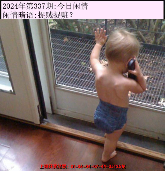 2024337期今日闲情