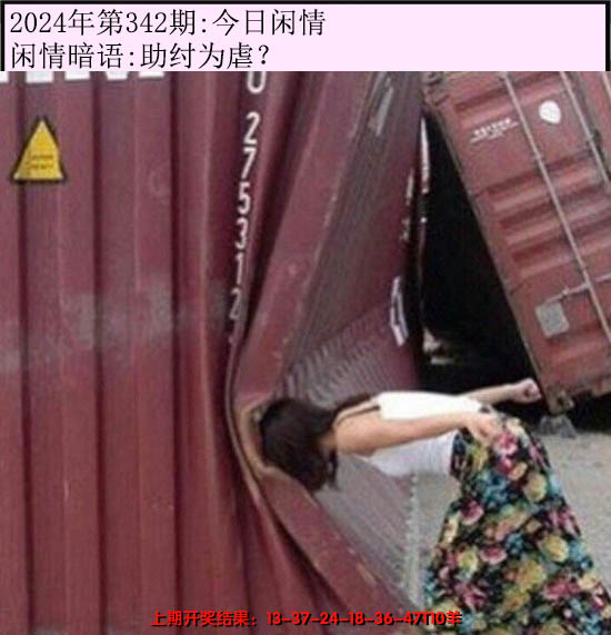 2024342期今日闲情