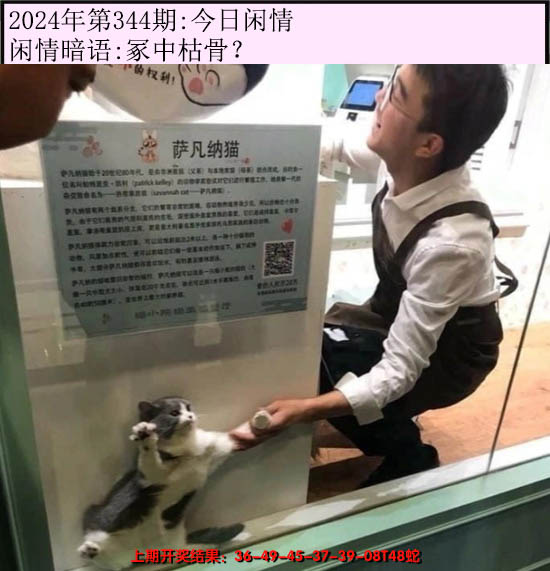 2024344期今日闲情