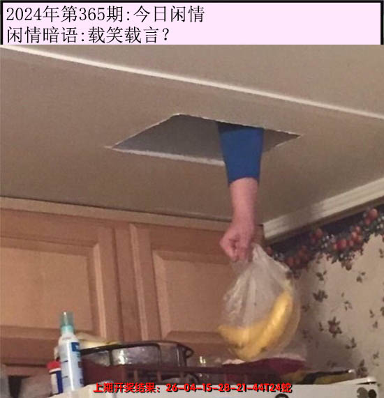 2024365期今日闲情