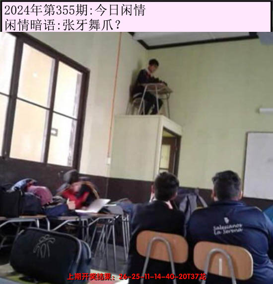 2024355期今日闲情