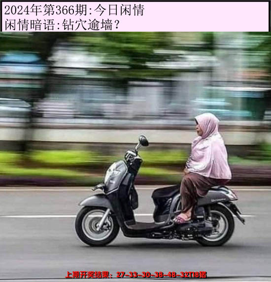 2024366期今日闲情
