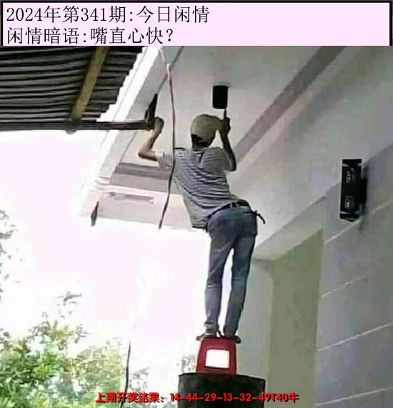 2024341期今日闲情