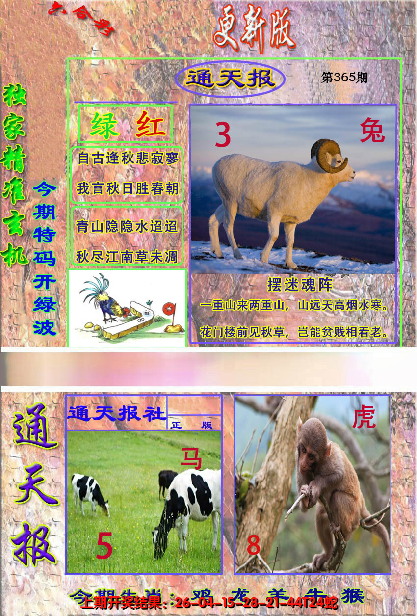 2024365期新通报