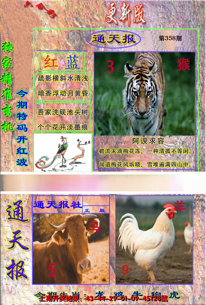 2024358期新通报