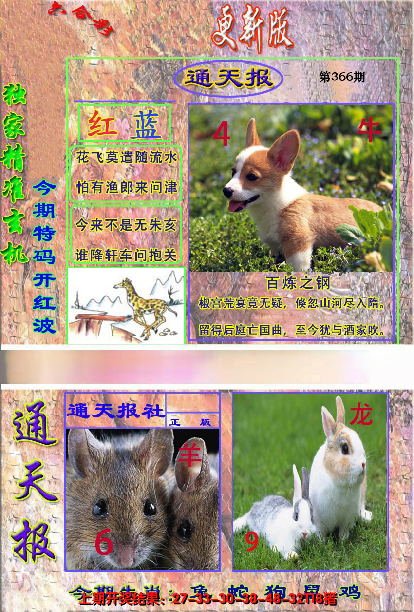 2024366期新通报
