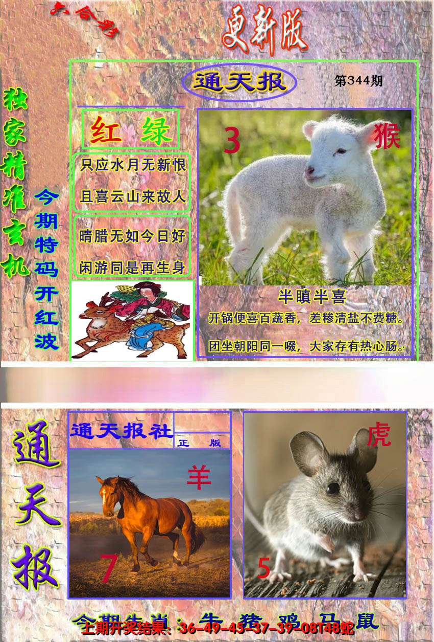 2024344期新通报