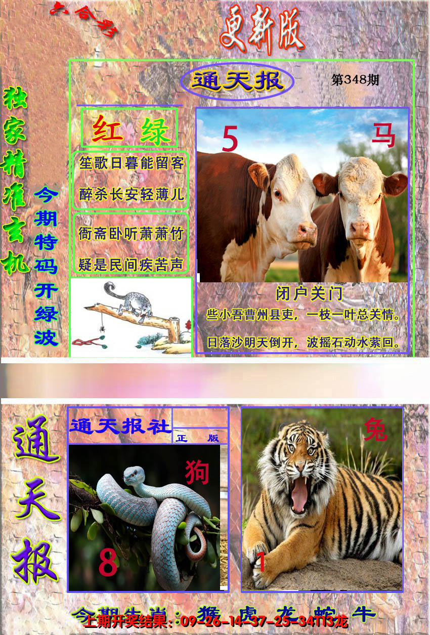 2024348期新通报