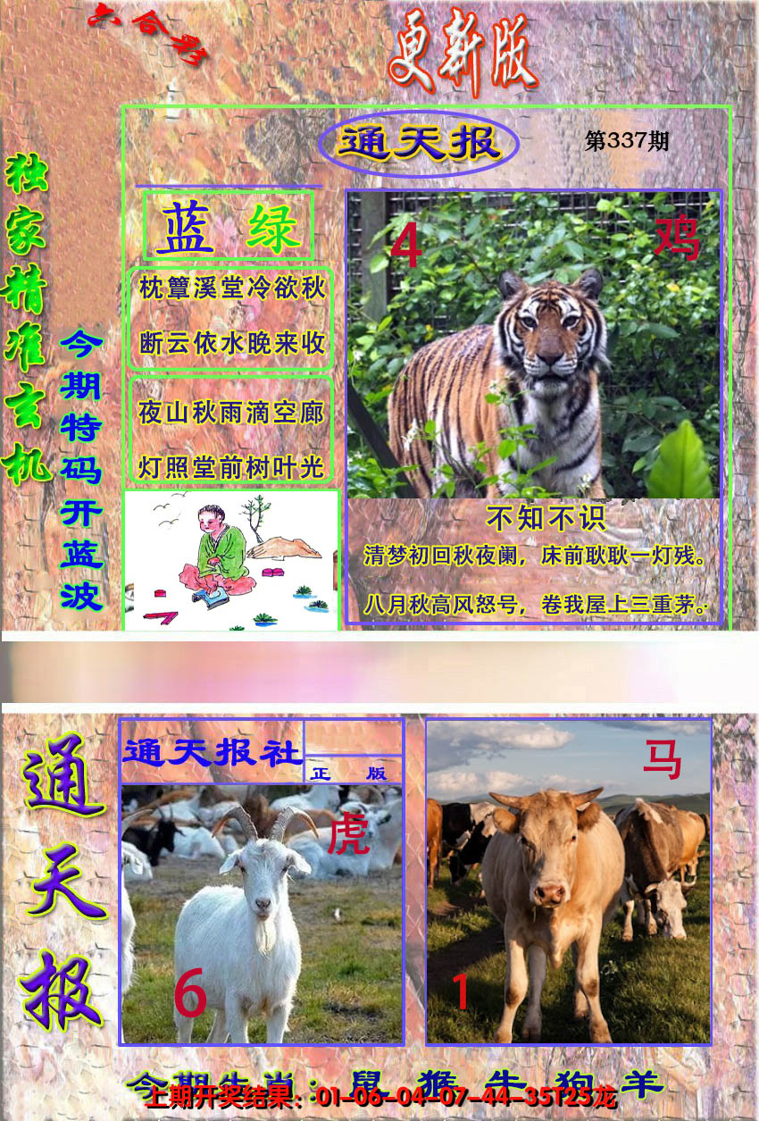 2024337期新通报