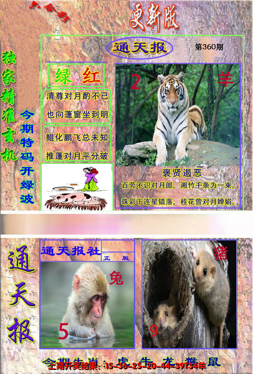2024360期新通报