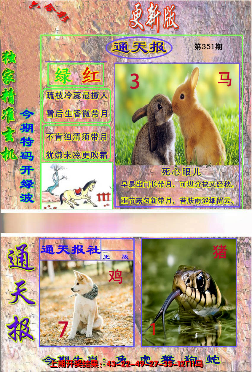 2024351期新通报