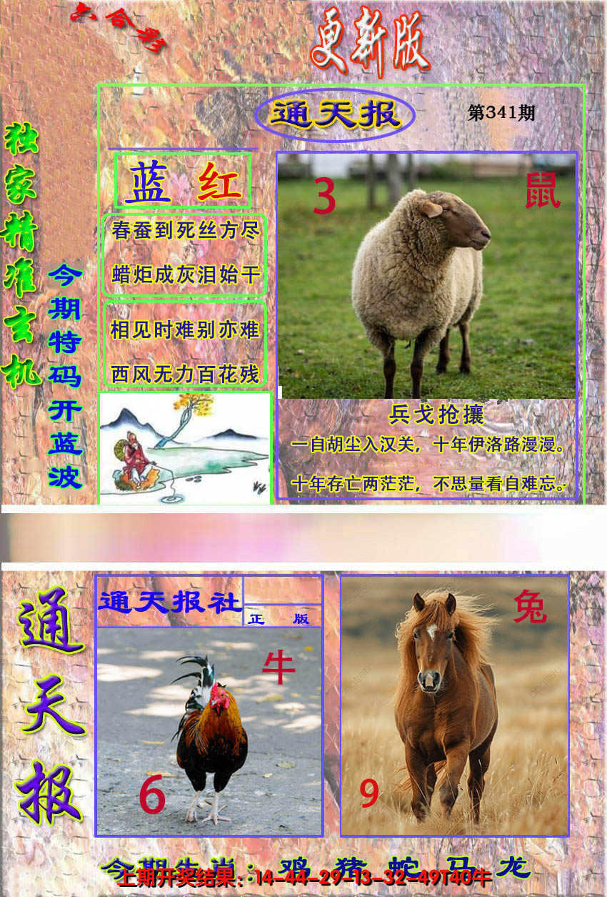 2024341期新通报