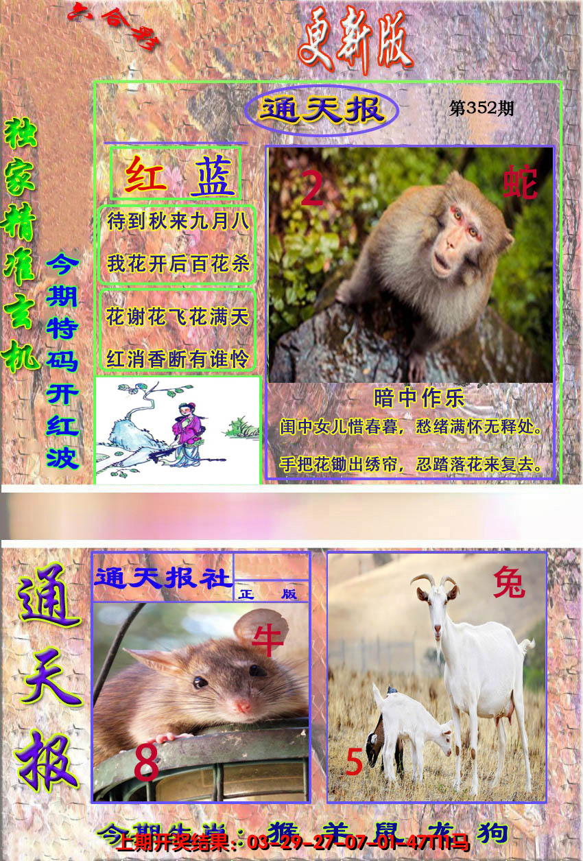 2024352期新通报