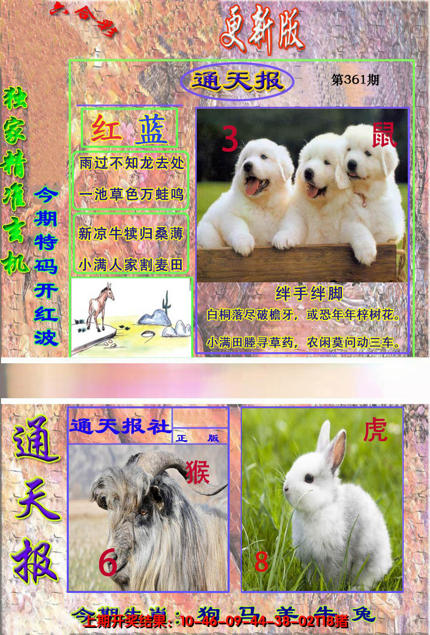 2024361期新通报