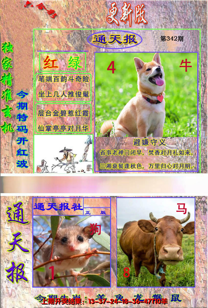 2024342期新通报