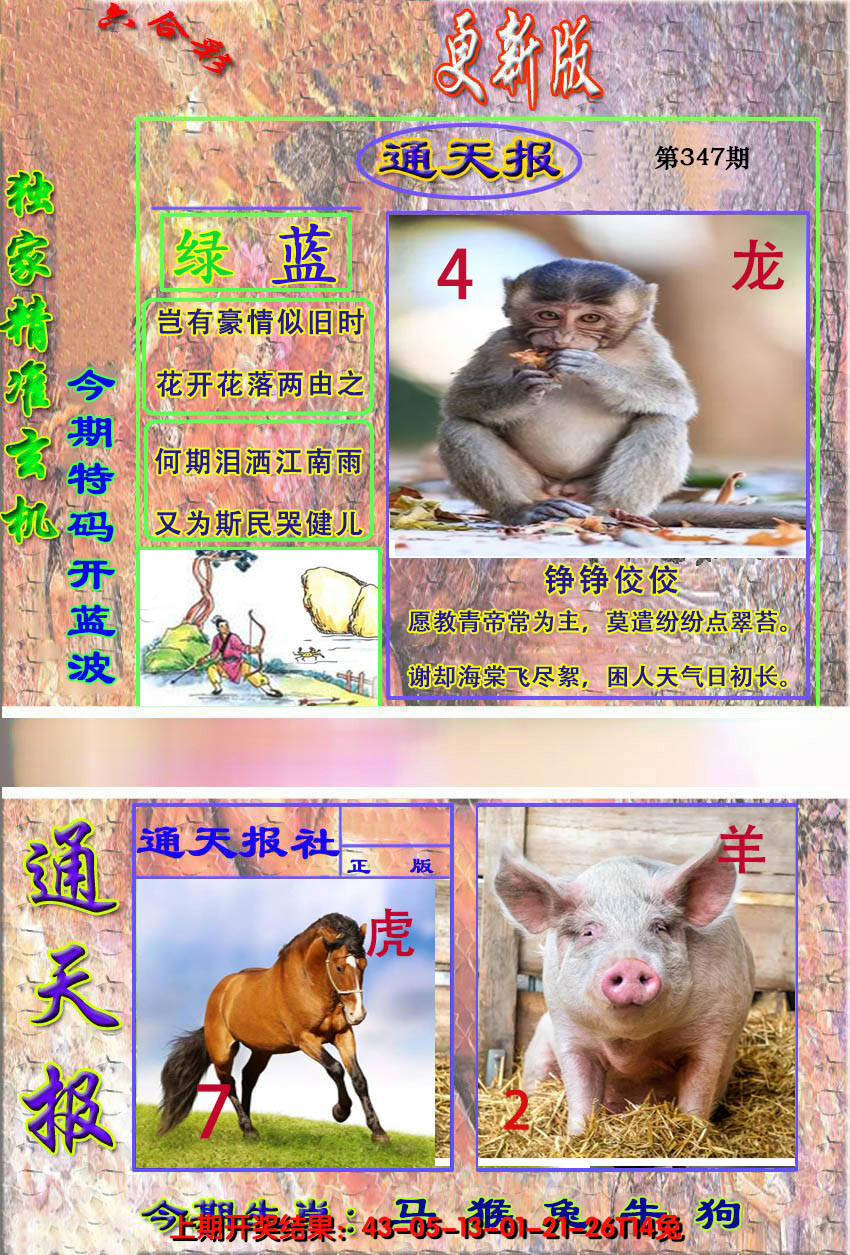2024347期新通报