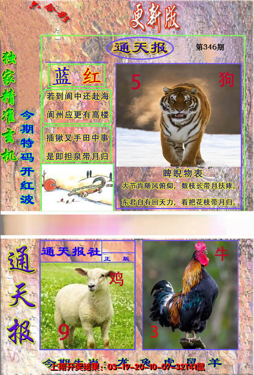 2024346期新通报