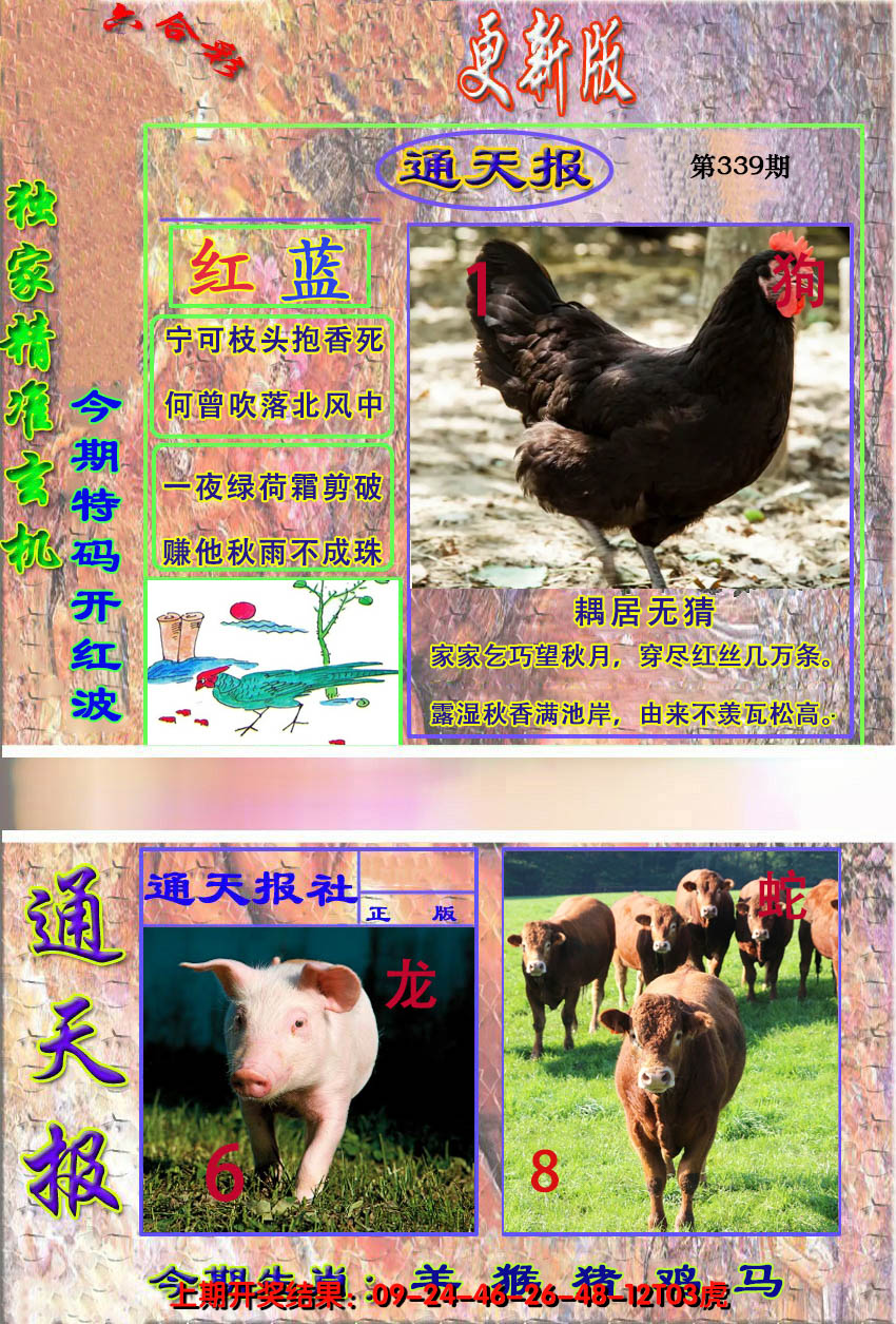 2024339期新通报
