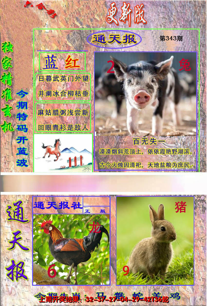 2024343期新通报
