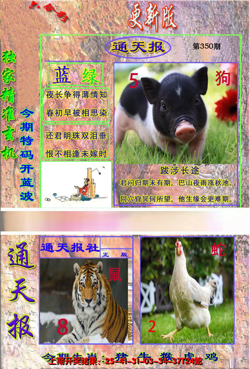 2024350期新通报