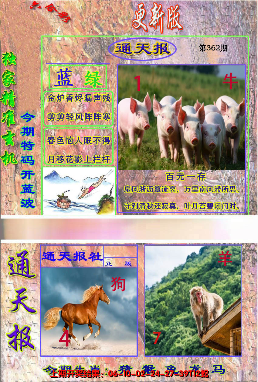 2024362期新通报