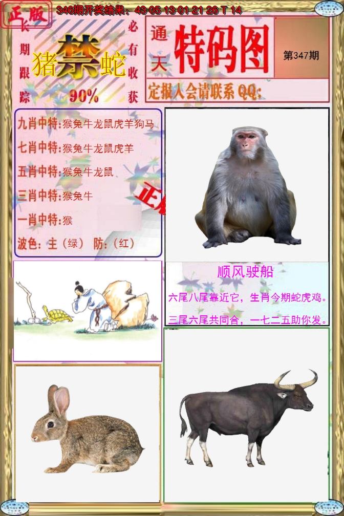 2024347期特码图