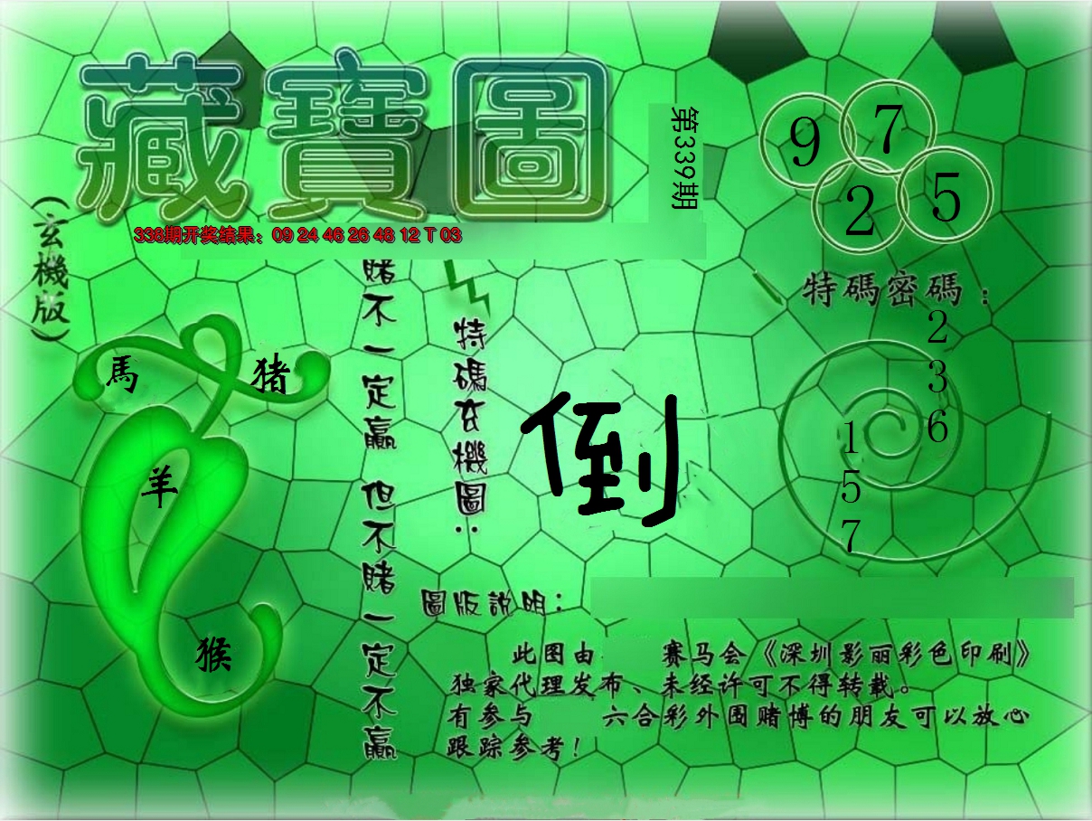 2024339期九龍玄机报