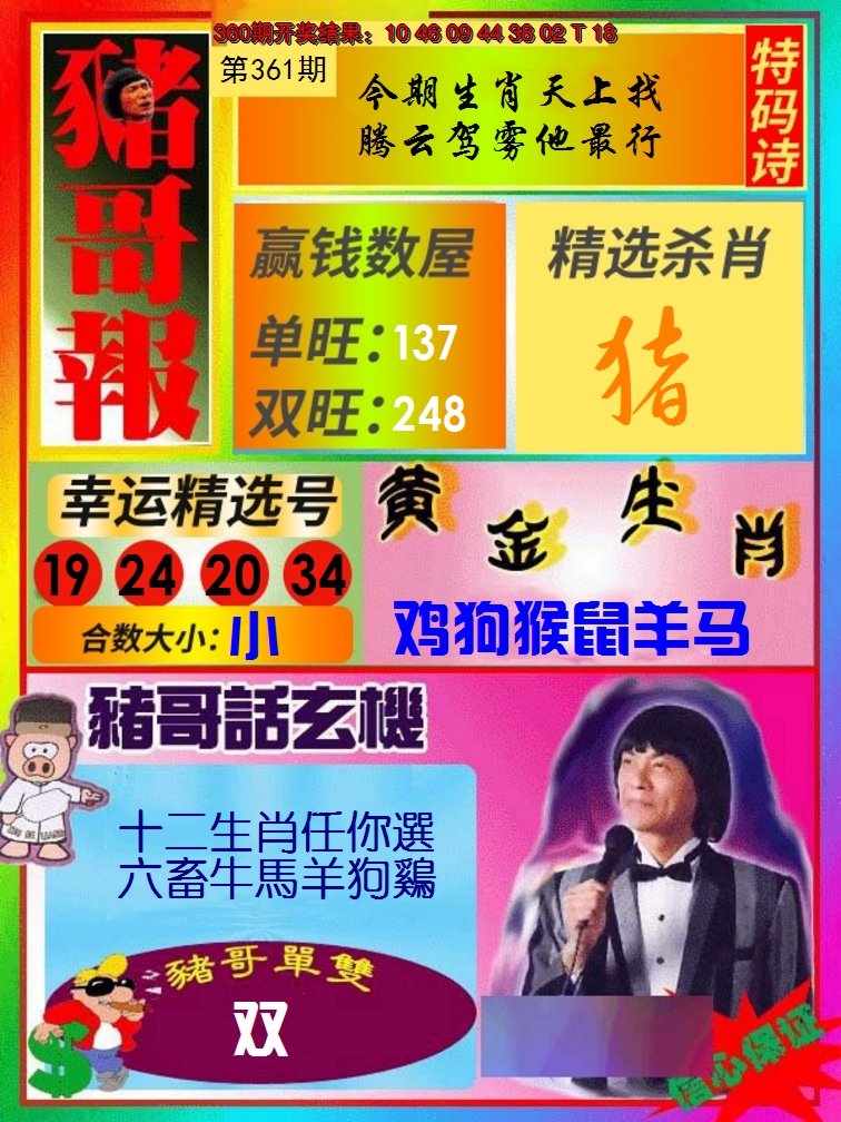 2024361期猪哥报